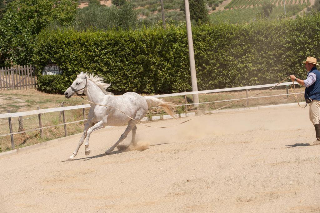 Podere Il Poggiolo Pontassieve Exteriér fotografie