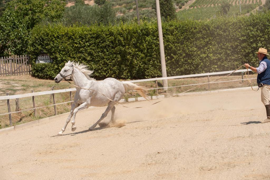 Vila Podere Il Poggiolo Rufina Exteriér fotografie