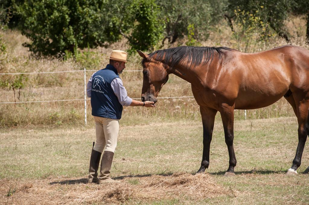 Podere Il Poggiolo Pontassieve Exteriér fotografie
