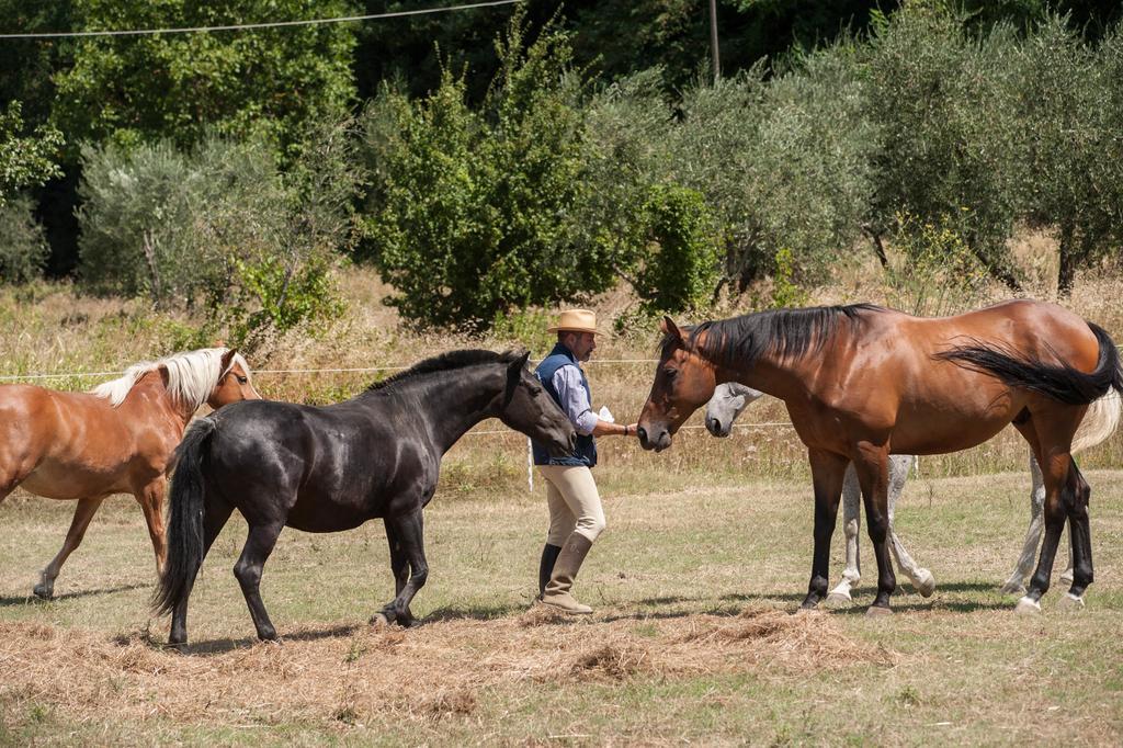 Vila Podere Il Poggiolo Rufina Exteriér fotografie