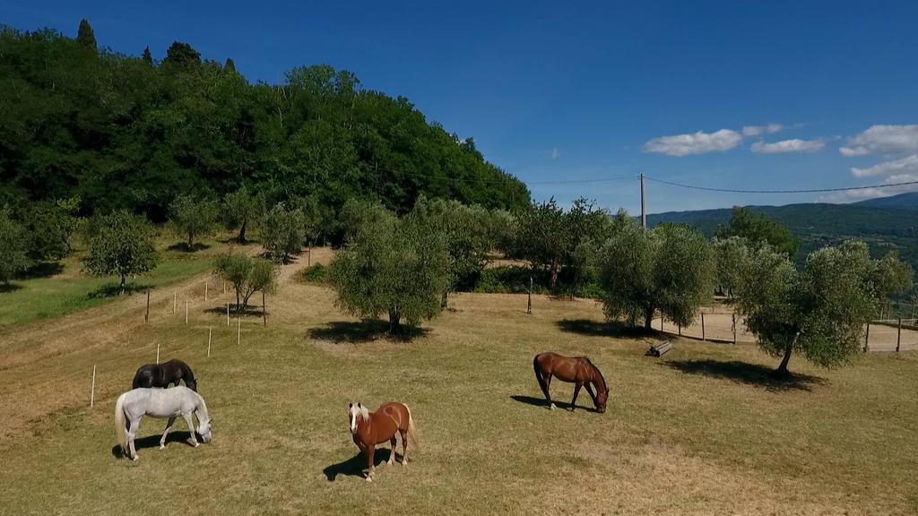 Podere Il Poggiolo Pontassieve Exteriér fotografie