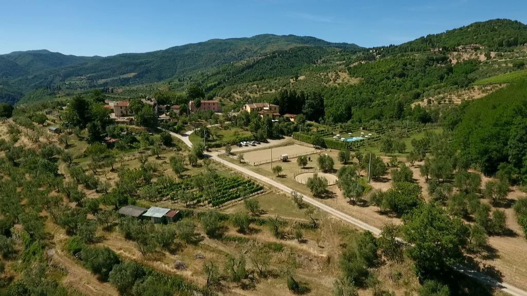 Vila Podere Il Poggiolo Rufina Exteriér fotografie